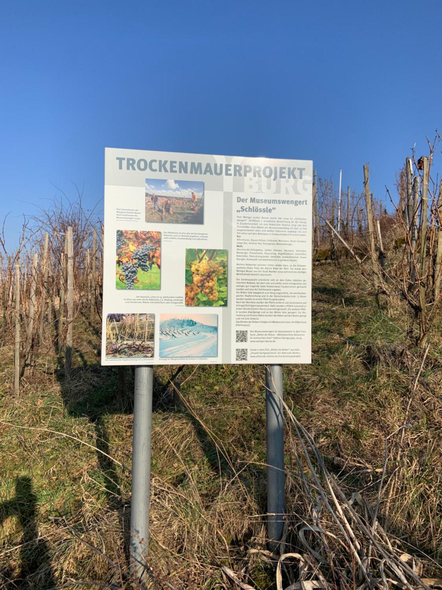 Unter Der Yburg Stetten Stetten  Exteriör bild