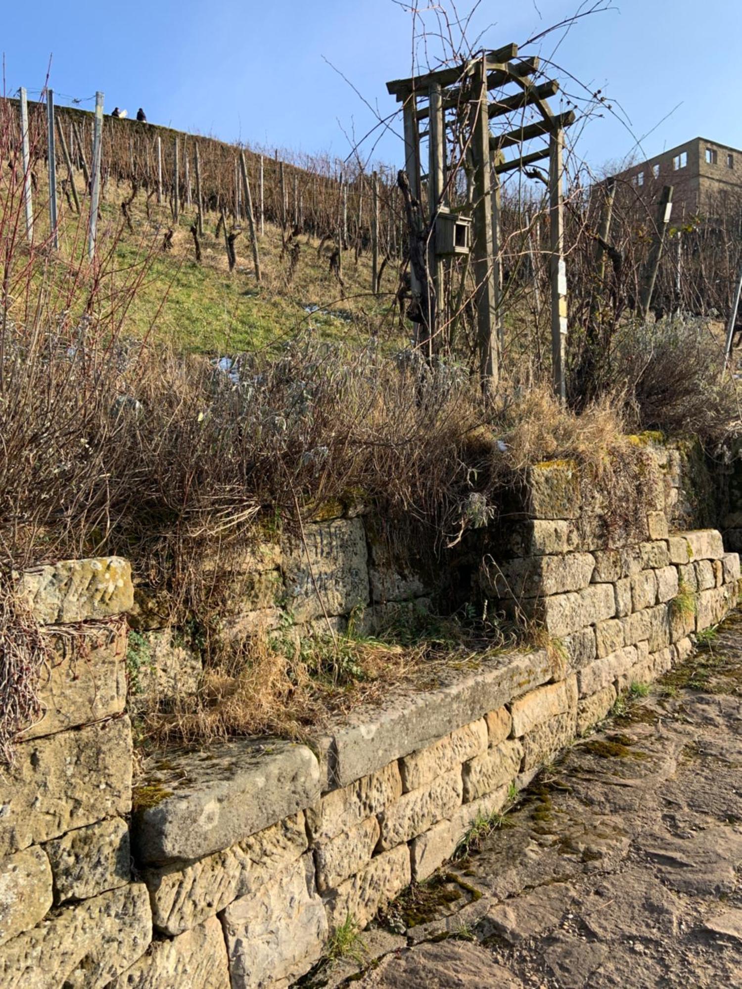 Unter Der Yburg Stetten Stetten  Exteriör bild